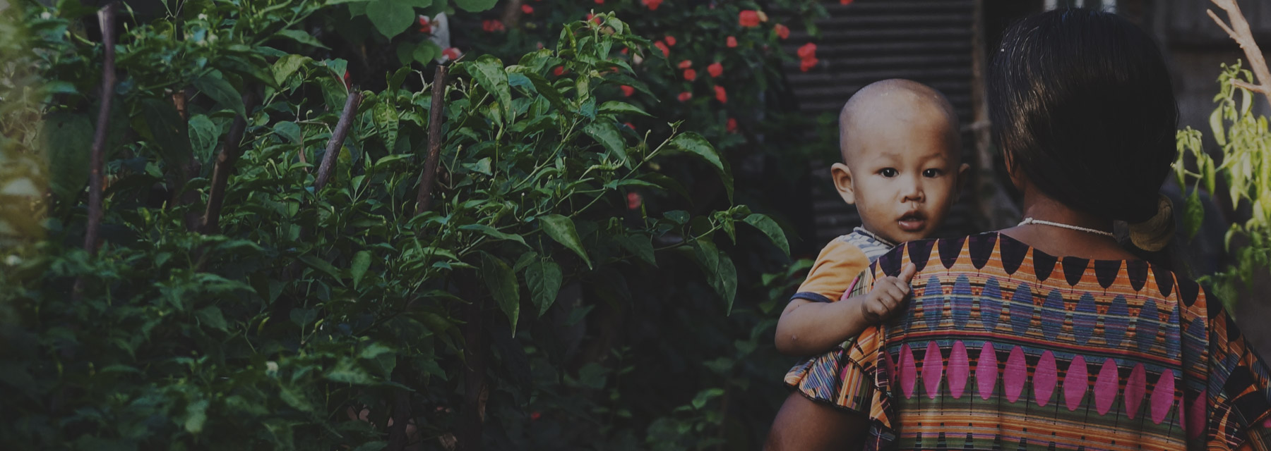 Fundacja Spokojny Kącik